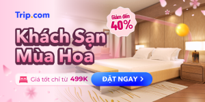 ✨ ƯU ĐÃI KHÁCH SẠN CHÂU Á – GIẢM ĐẾN 40% ✨🏨 ✨ ƯU ĐÃI KHÁCH SẠN CHÂU Á – GIẢM ĐẾN 40% ✨🏨
