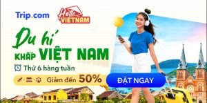 🏝️ HELLO VIETNAM – MÙA HÈ VẪY GỌI! 🇻🇳☀️ 🏝️ HELLO VIETNAM – MÙA HÈ VẪY GỌI! 🇻🇳☀️